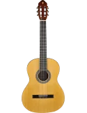 EKO VIBRA100 | MusicGoodDeal