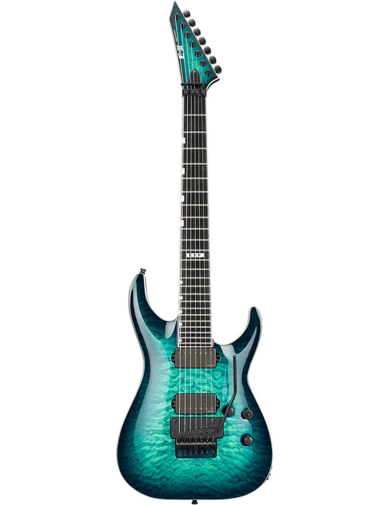 ESP 2HORFR7QM-TBB | MusicGoodDeal