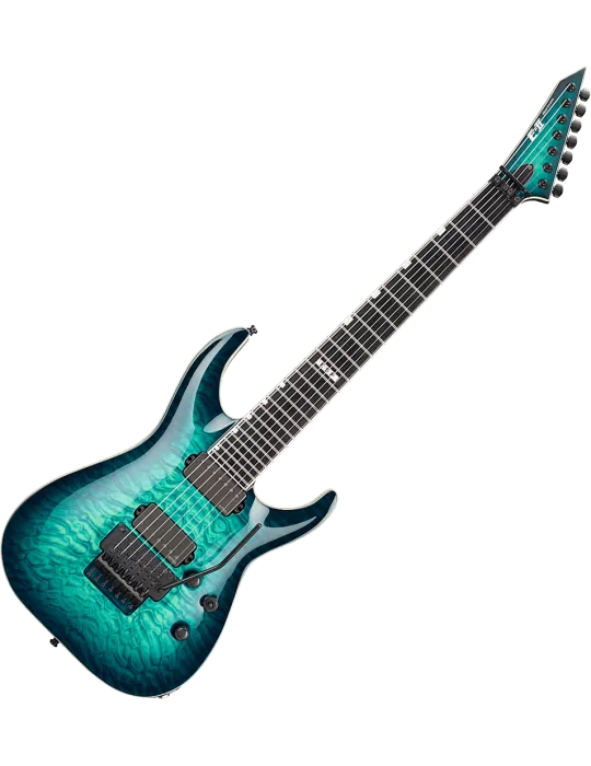 ESP 2HORFR7QM-TBB | MusicGoodDeal