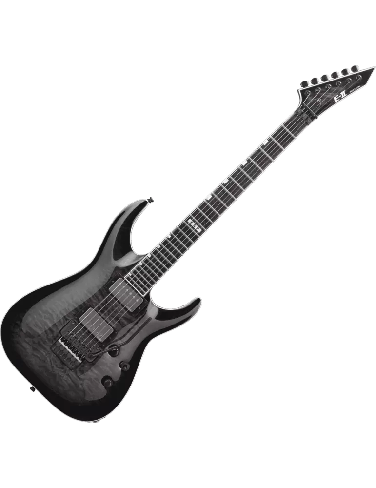  ESP 2HORI2FR-STBK Horizonte FR-II - Escama negra transparente|MusicGoodDeal 