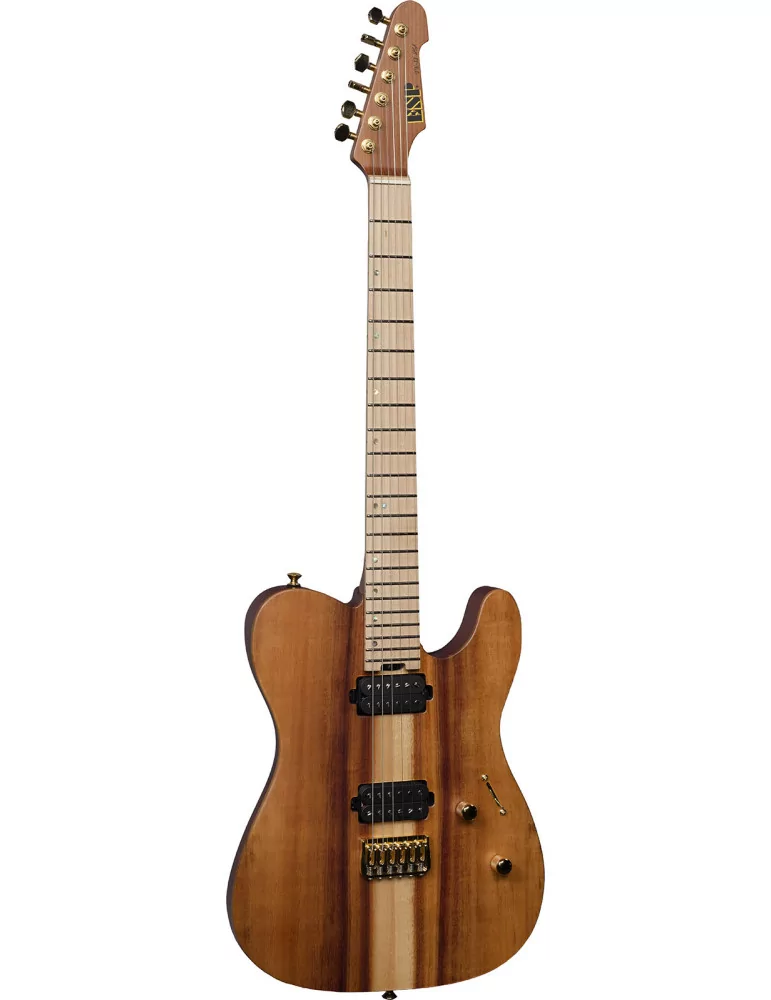 ESP EUSTE2HTKOAMG67S2 | MusicGoodDeal