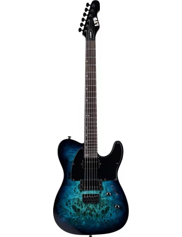 LTD TE200DX-BLB | MusicGoodDeal