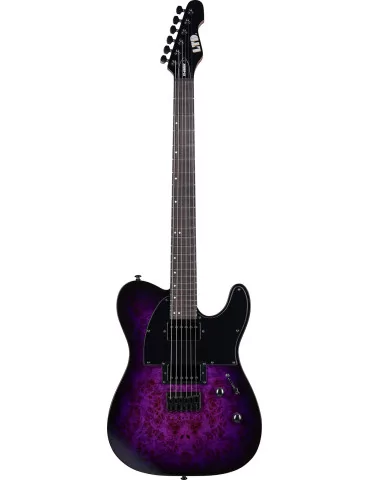 LTD TE200DX-PRB | MusicGoodDeal