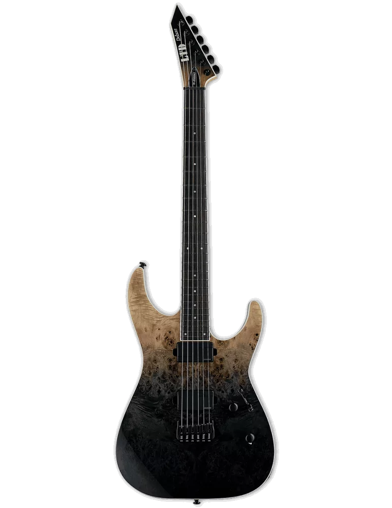  LTD M1000HTBPF-BLKFD Modell 1000 Deluxe - M1000 Hipshot Burl Poplar Fluence Black Fade|MusicGoodDeal 