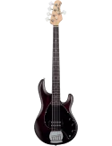 STERLING BY MUSIC MAN RAY5-WS-R1 | MusicGoodDeal