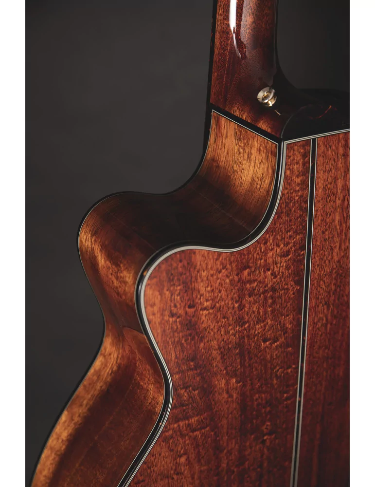 TAKAMINE LTD2025 | MusicGoodDeal
