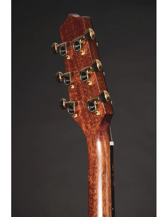 TAKAMINE LTD2025 | MusicGoodDeal