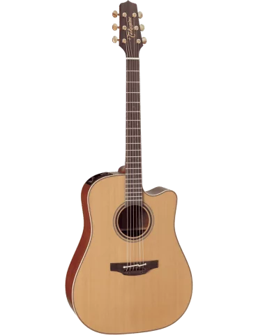 TAKAMINE P3DC | MusicGoodDeal