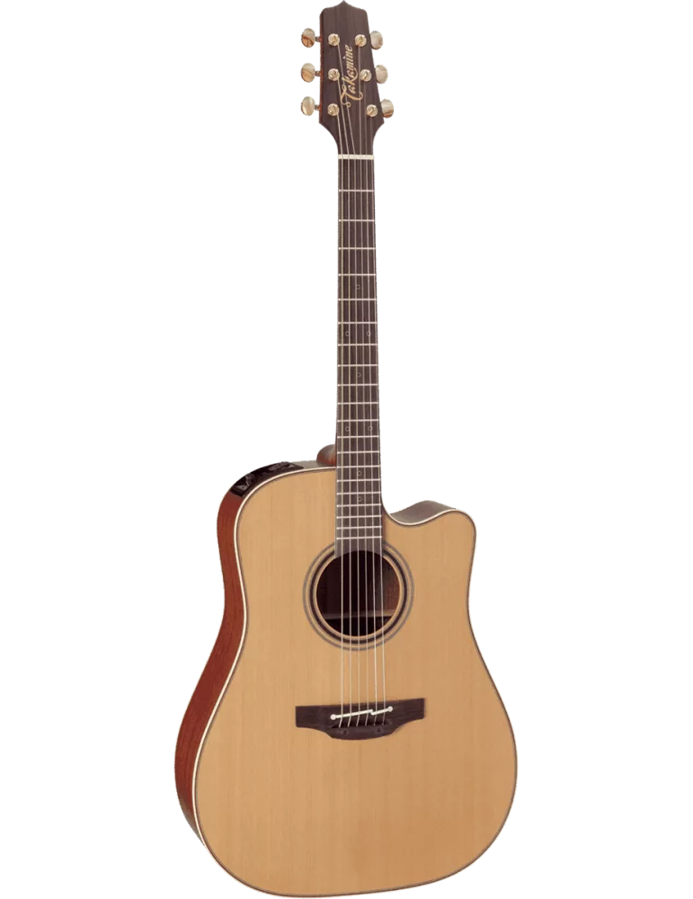 TAKAMINE P3DC | MusicGoodDeal