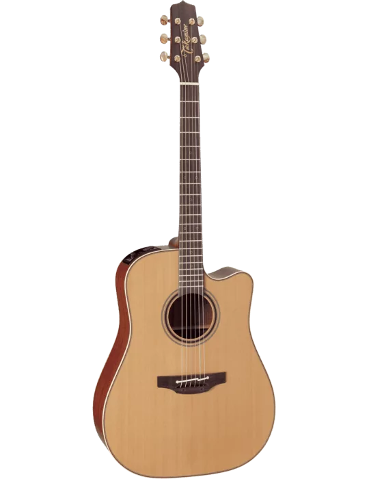 TAKAMINE P3DC | MusicGoodDeal