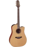 TAKAMINE P3DC | MusicGoodDeal
