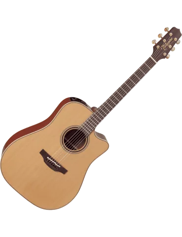 TAKAMINE P3DC | MusicGoodDeal 2