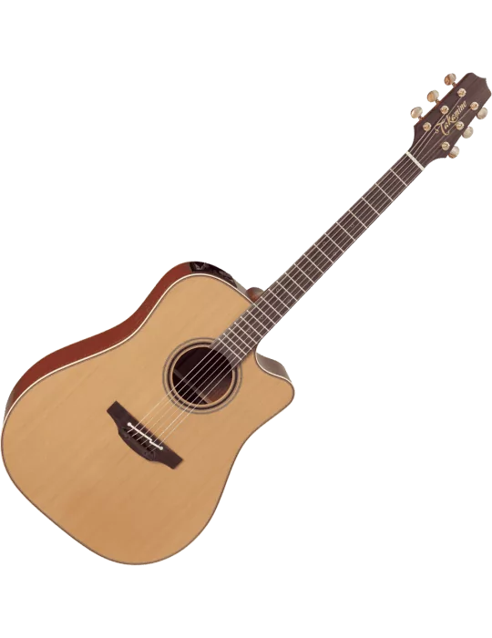 TAKAMINE P3DC | MusicGoodDeal