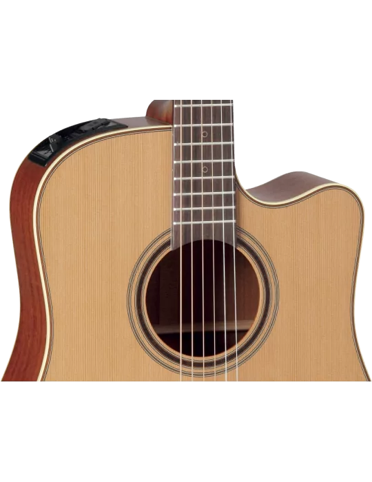 TAKAMINE P3DC | MusicGoodDeal
