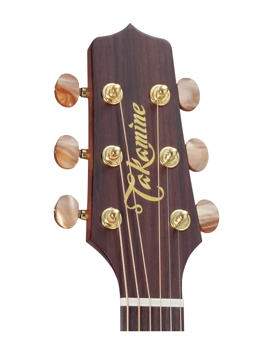 TAKAMINE P3DC | MusicGoodDeal