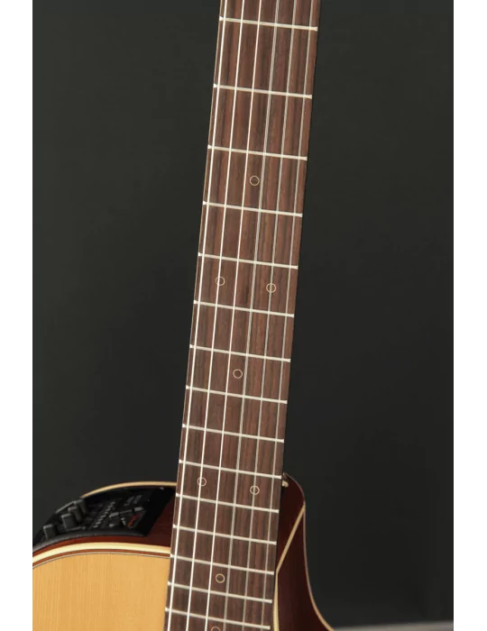TAKAMINE P3DC | MusicGoodDeal