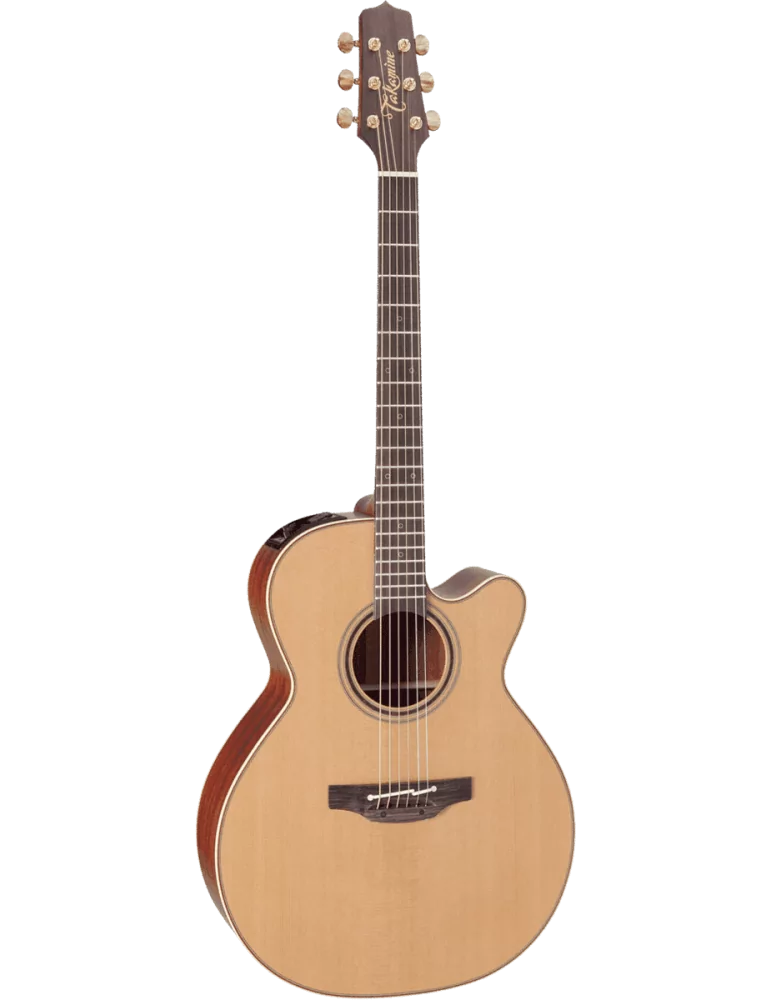 TAKAMINE P3NC | MusicGoodDeal