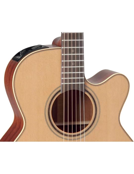 TAKAMINE P3NC | MusicGoodDeal