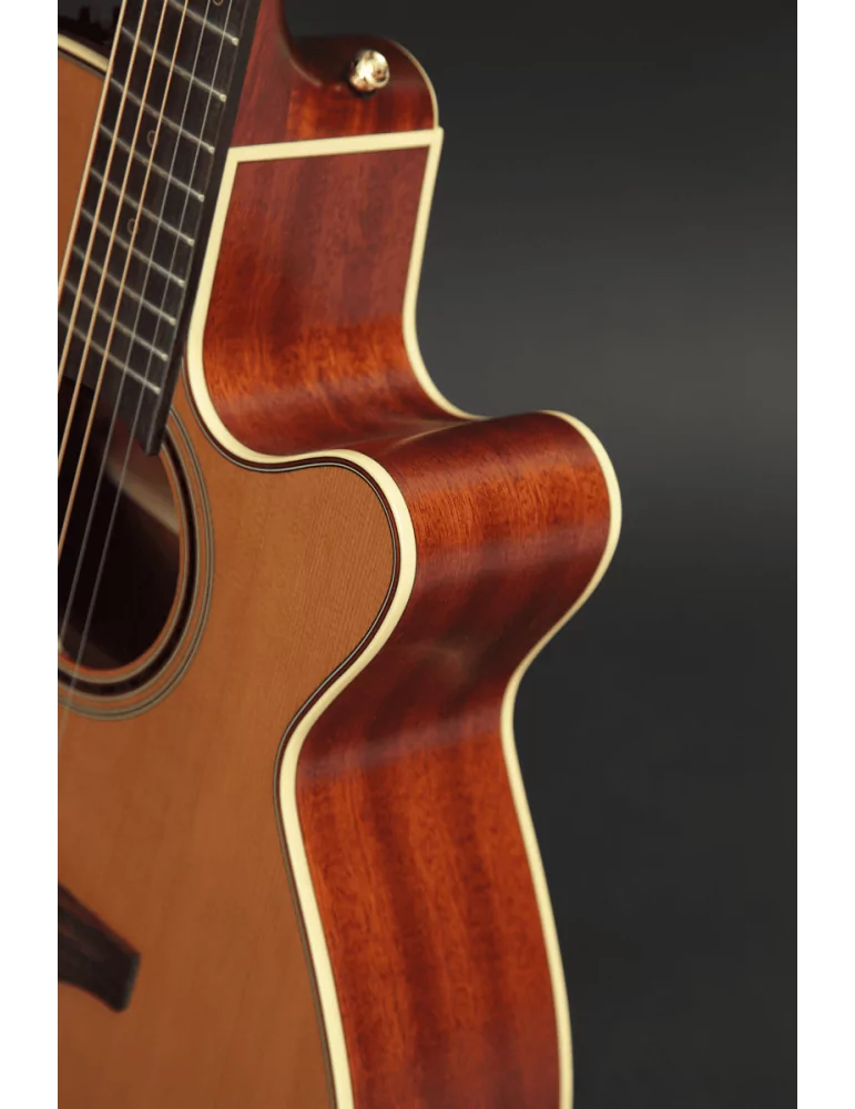 TAKAMINE P3NC | MusicGoodDeal