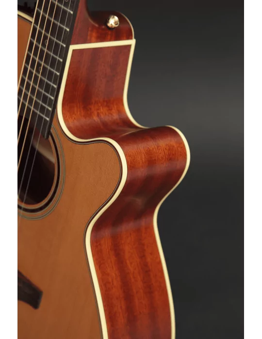 TAKAMINE P3NC | MusicGoodDeal