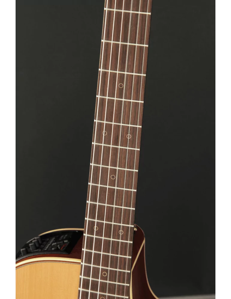 TAKAMINE P3NC | MusicGoodDeal