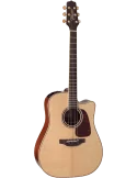 TAKAMINE P4DC | MusicGoodDeal
