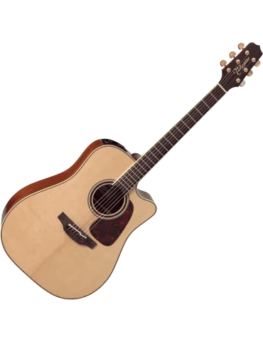 TAKAMINE P4DC | MusicGoodDeal 2