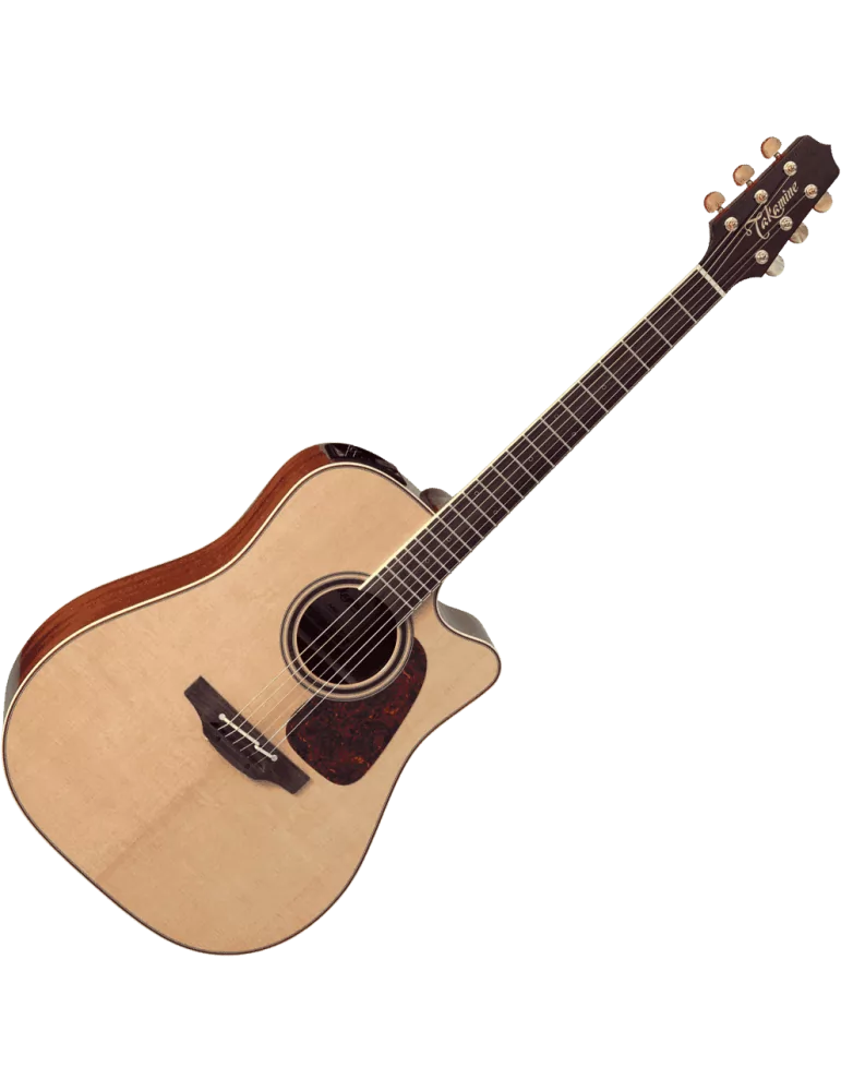 TAKAMINE P4DC | MusicGoodDeal