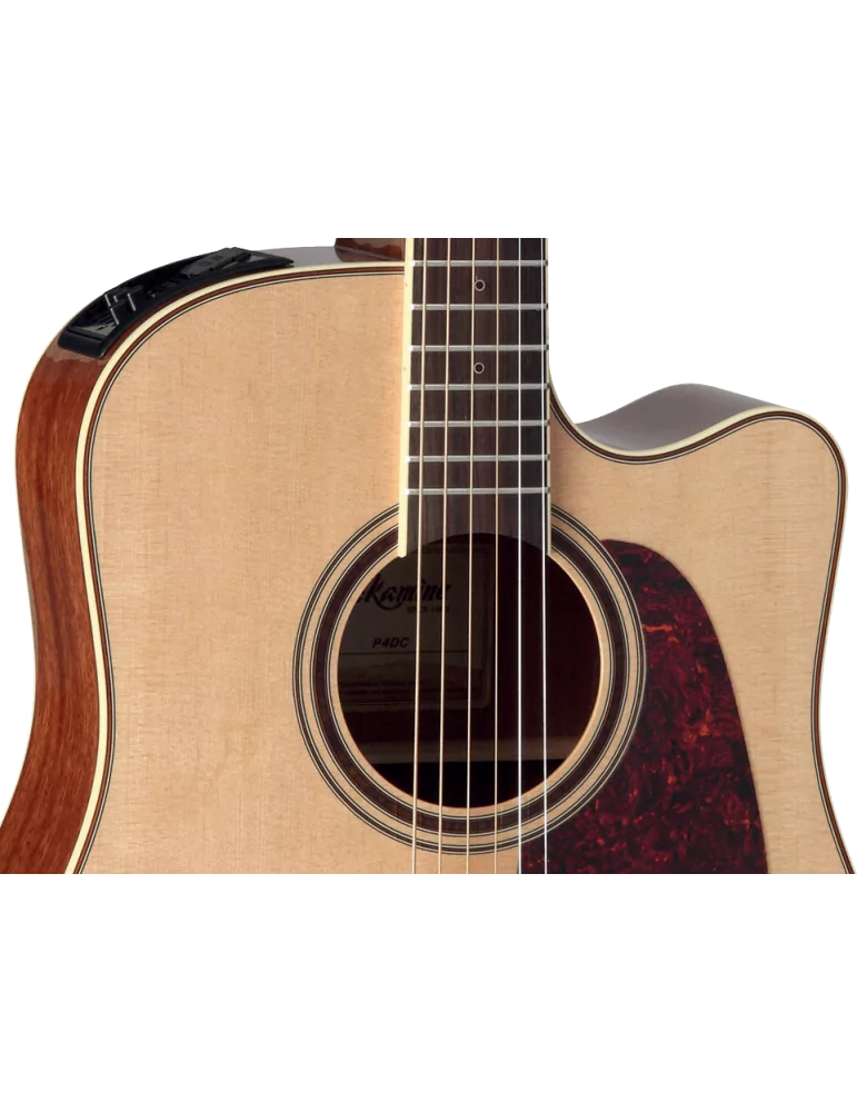 TAKAMINE P4DC | MusicGoodDeal