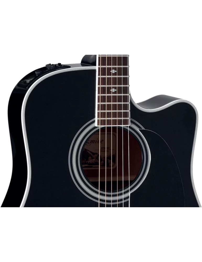 TAKAMINE EF341SC | MusicGoodDeal