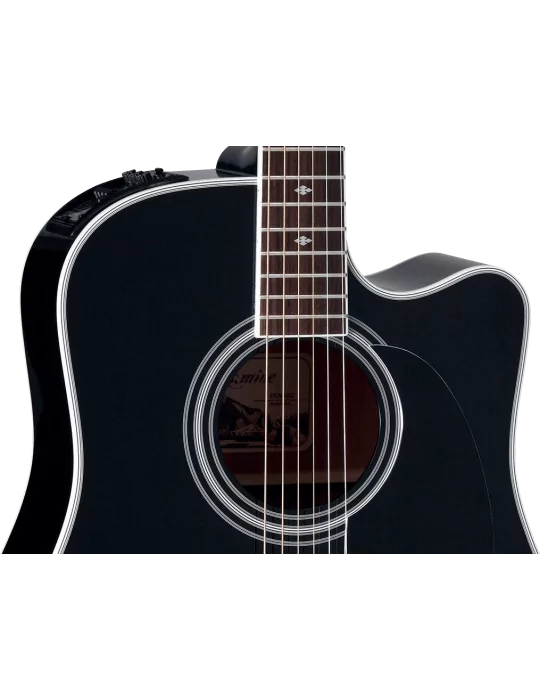 TAKAMINE EF341SC | MusicGoodDeal