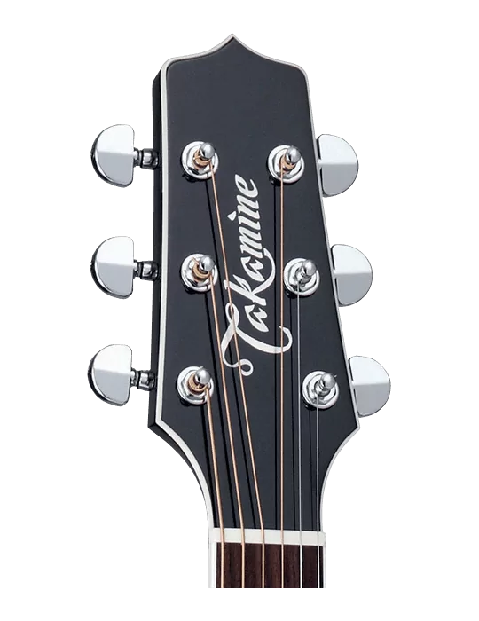 TAKAMINE EF341SC | MusicGoodDeal