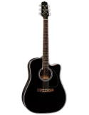 TAKAMINE EF341DX | MusicGoodDeal