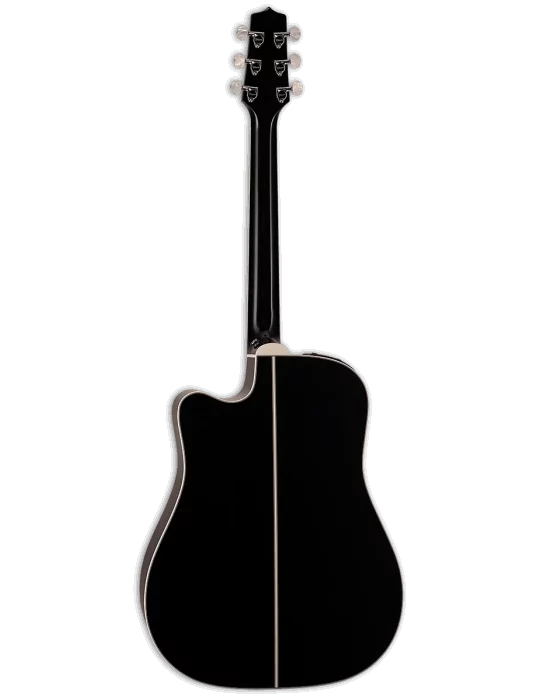TAKAMINE EF341DX | MusicGoodDeal