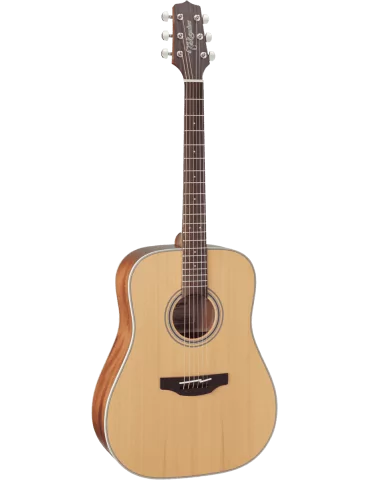 TAKAMINE GD20NS | MusicGoodDeal