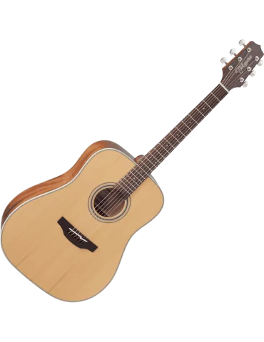 TAKAMINE GD20NS | MusicGoodDeal 2