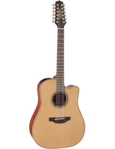 TAKAMINE P3DC12 | MusicGoodDeal