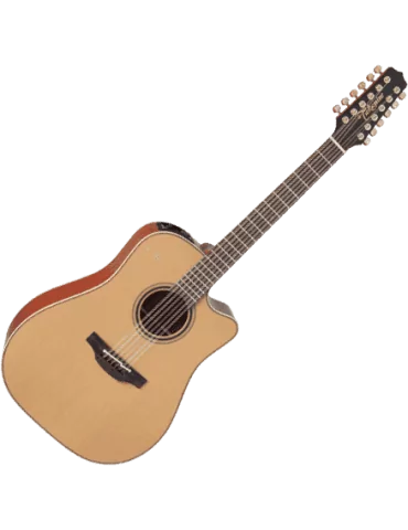 TAKAMINE P3DC12 | MusicGoodDeal 2