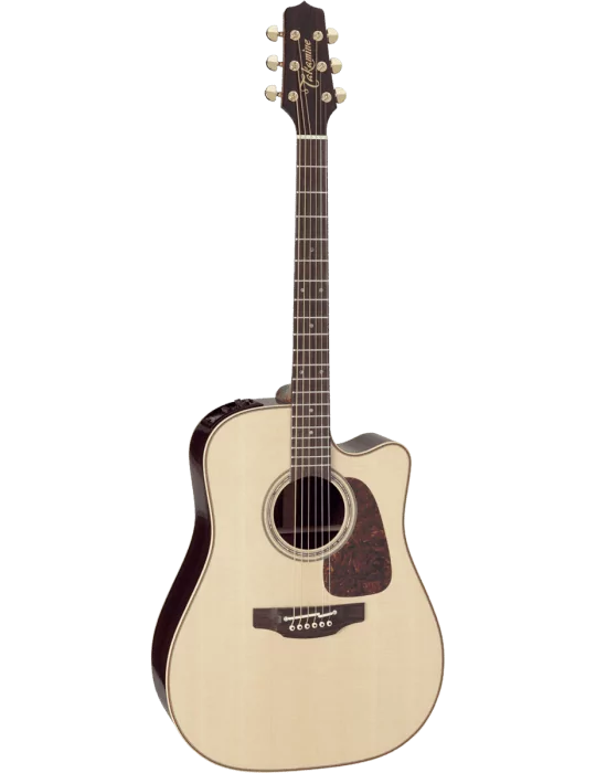 TAKAMINE P5DC | MusicGoodDeal