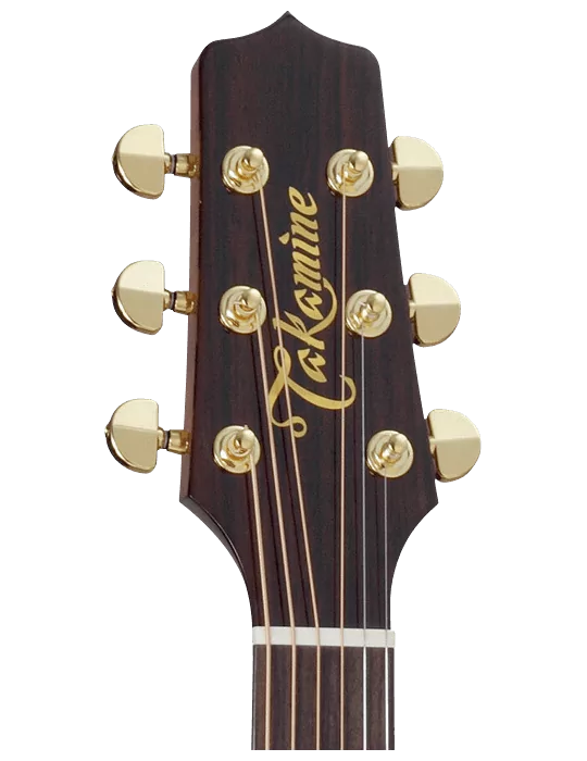 TAKAMINE P5DC | MusicGoodDeal