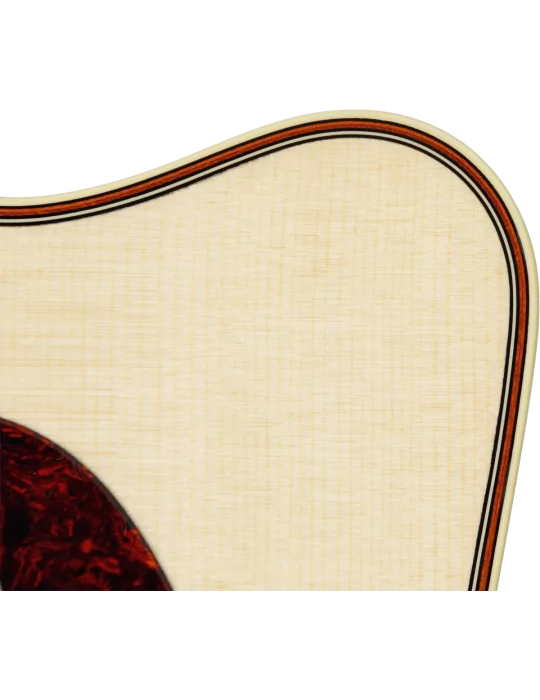 TAKAMINE P5DC | MusicGoodDeal