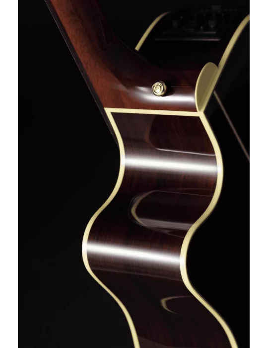 TAKAMINE P5DC | MusicGoodDeal