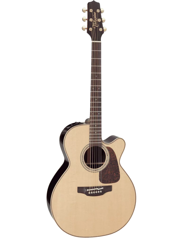 TAKAMINE P5NC | MusicGoodDeal