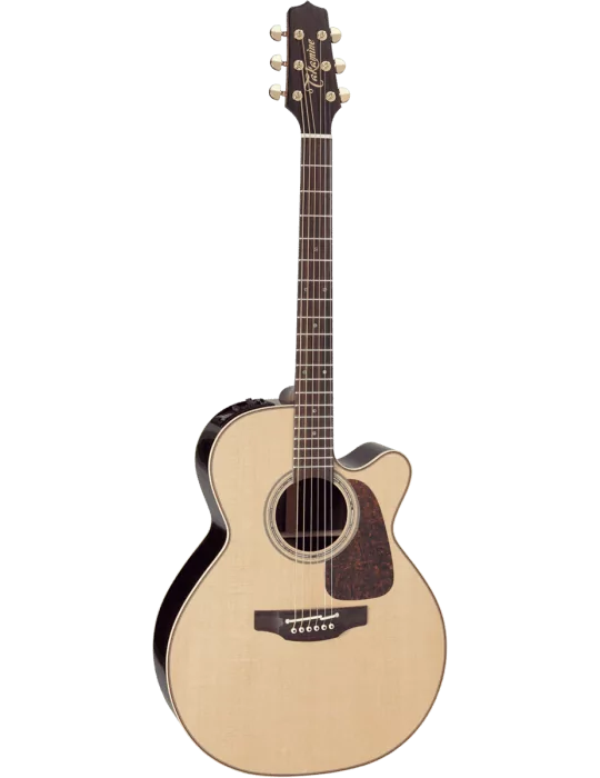 TAKAMINE P5NC | MusicGoodDeal