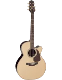 TAKAMINE P5NC | MusicGoodDeal