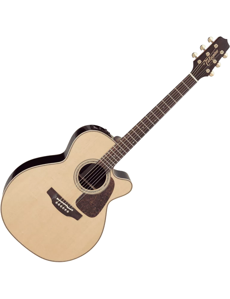 TAKAMINE P5NC | MusicGoodDeal