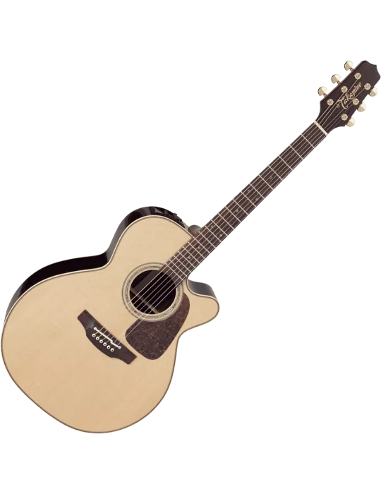TAKAMINE P5NC | MusicGoodDeal
