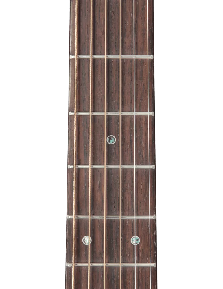 TAKAMINE P5NC | MusicGoodDeal