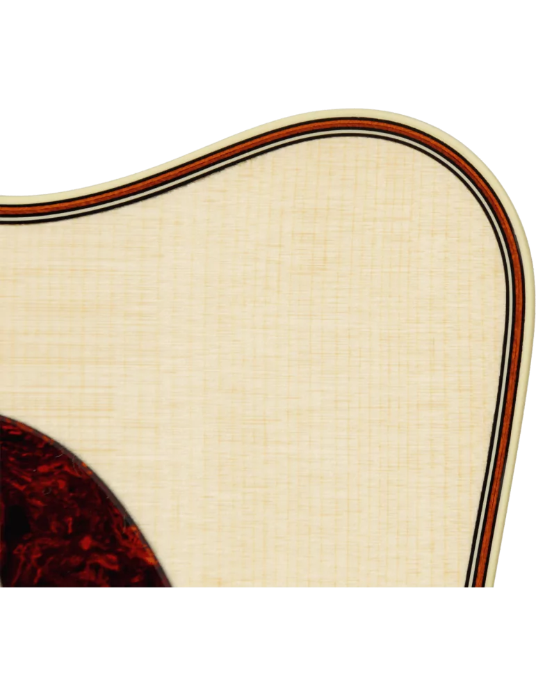 TAKAMINE P5NC | MusicGoodDeal