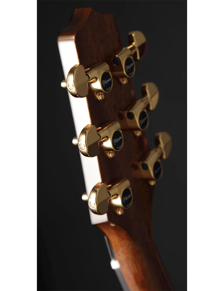 TAKAMINE P5NC | MusicGoodDeal